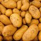 Fotos Variedades de patatas para cocinar