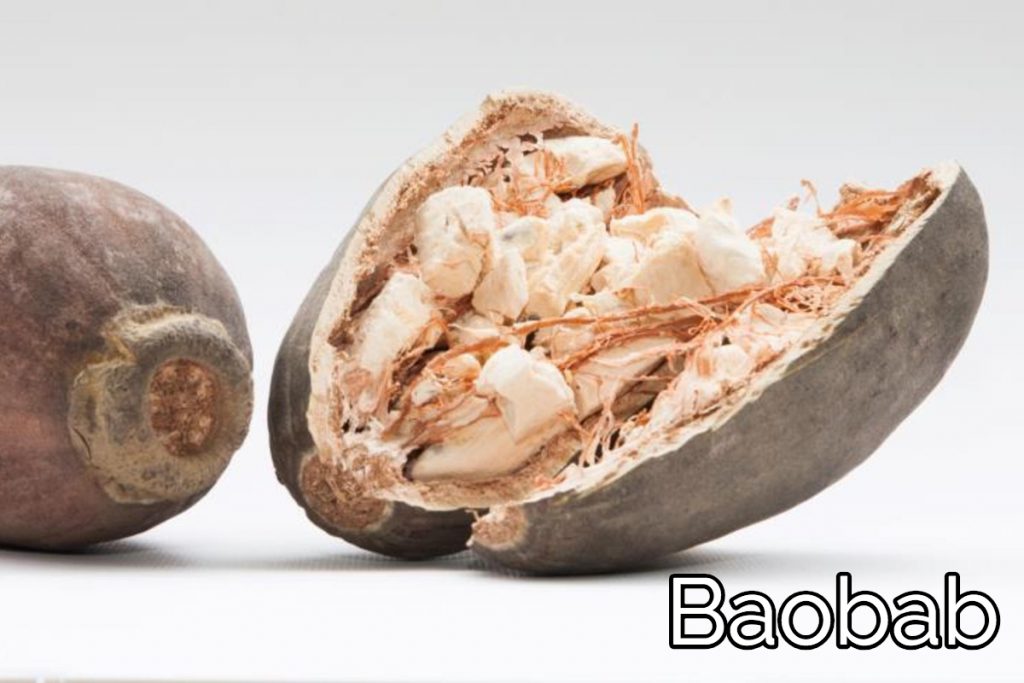 Baobab uno de los 11 superalimentos para veganos