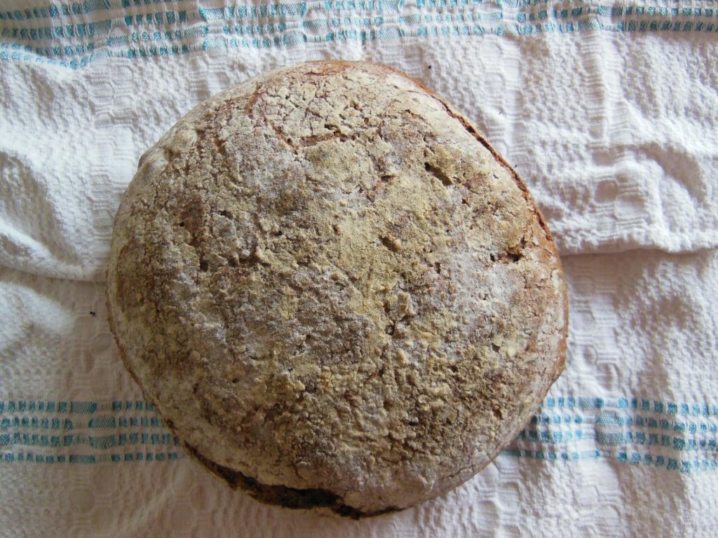 pan masa madre antes de secar
