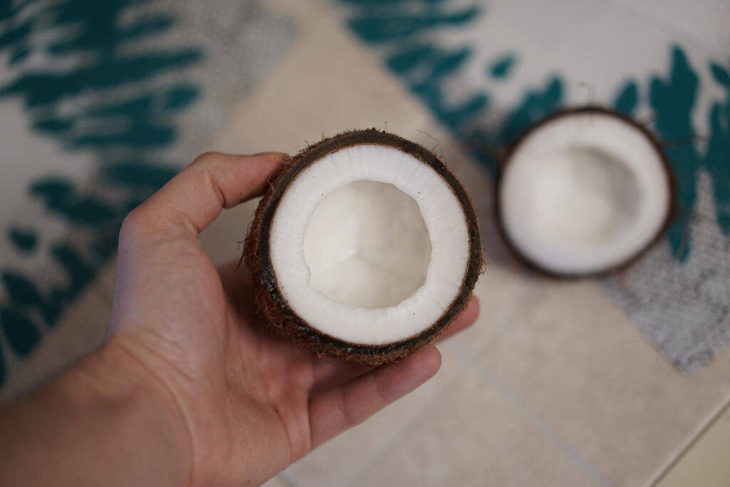 foto interior de coco para leche de coco